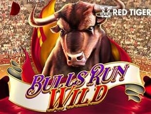 Bulls Run Wild icon
